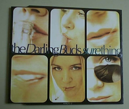 Darling buds sure - sure, thing